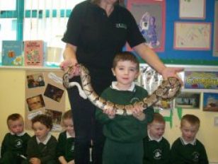 Our Visit from Belfast Zoo!